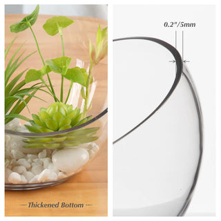 WGV Slant Bowl Glass Vase - 7' x 6"H