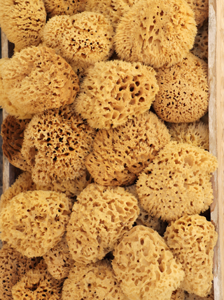 BATH SEA SPONGES - NATURAL AND SUSTAINABLE: Small