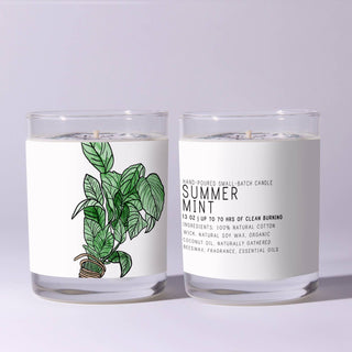 Summer Mint - Just Bee Candles: 13 oz (up to 60 hrs of clean burning)