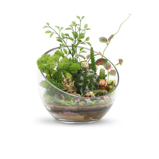 WGV Slant Bowl Glass Vase - 7' x 6"H